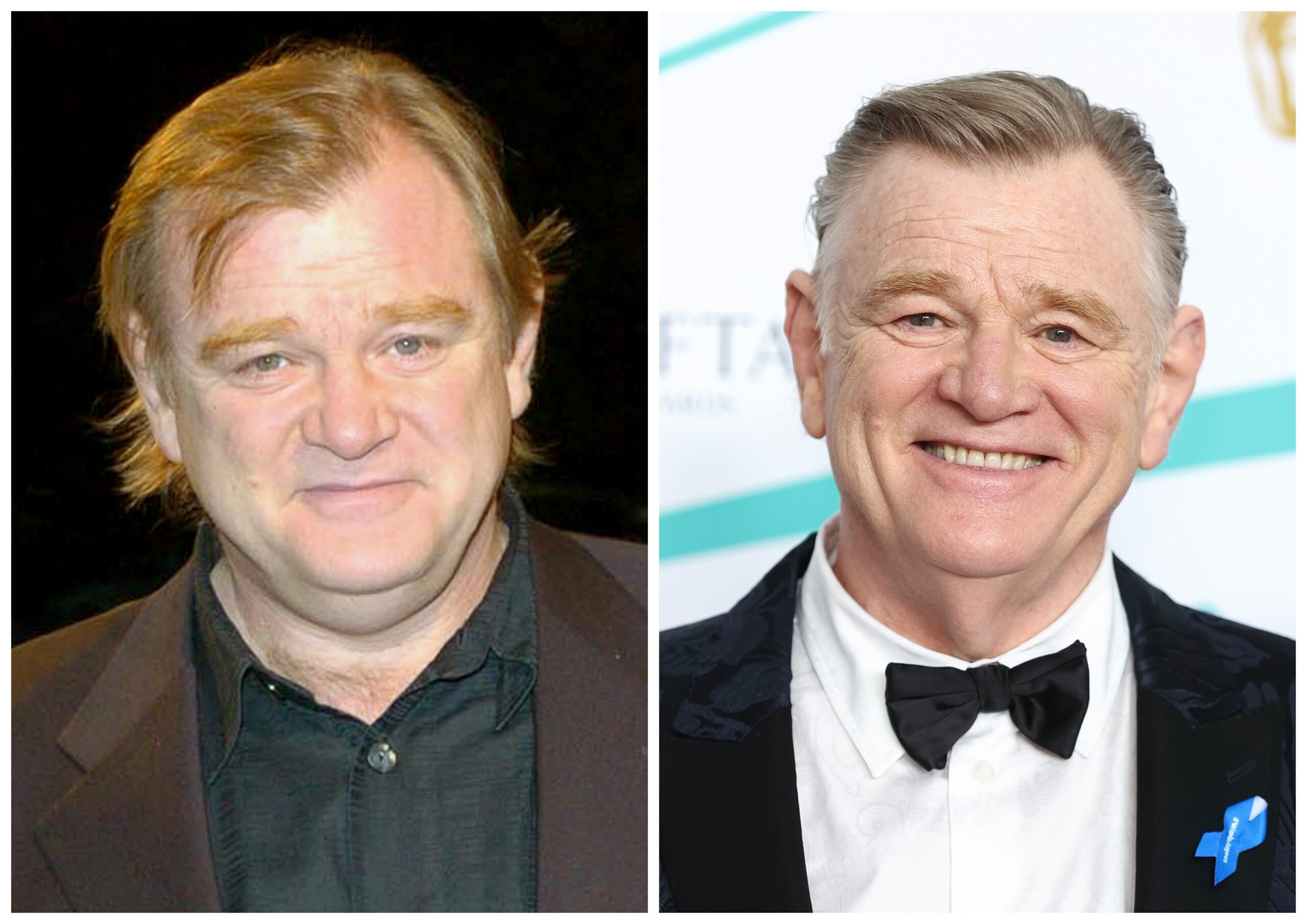 'Troy' cast member Brendan Gleeson