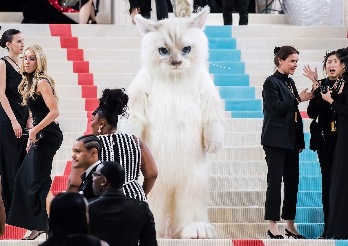 Jared Leto arrives to The 2023 Met Gala dressed in a full white cat outfit
