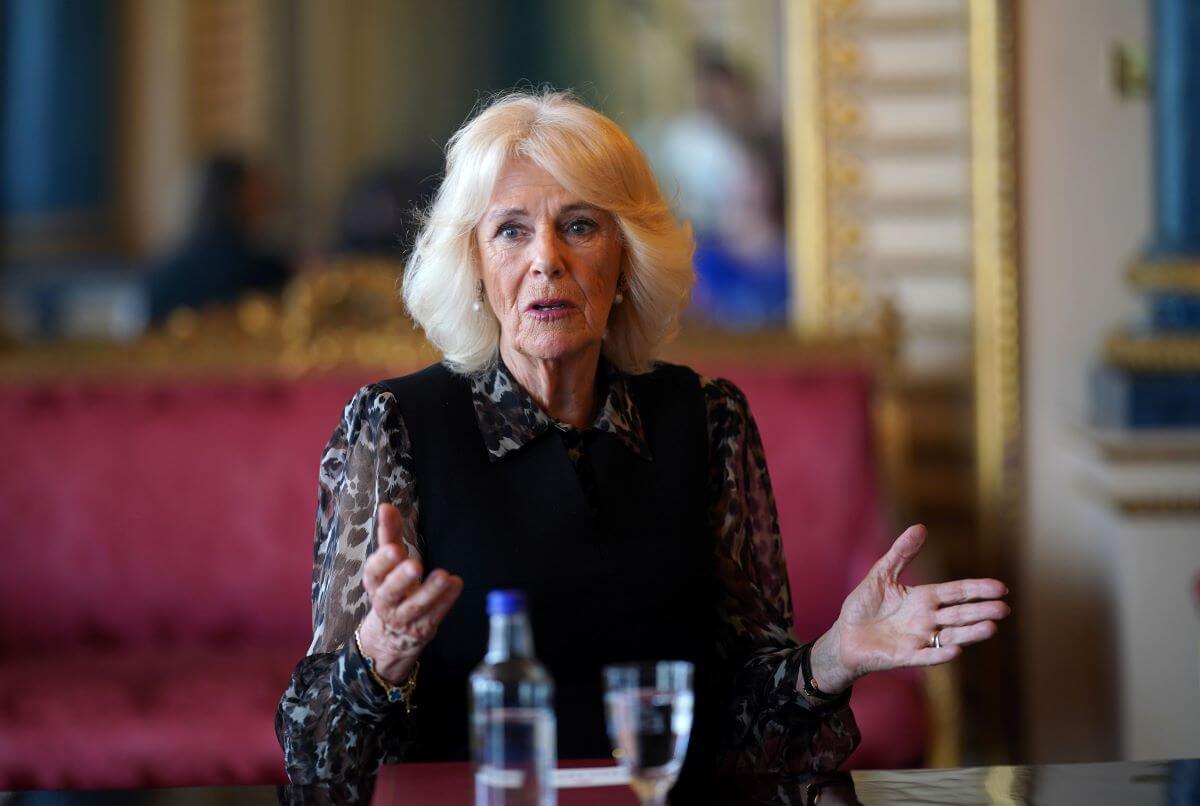 Queen Camilla meets with 'Changemakers' from the SafeLives charity at Buckingham Palace