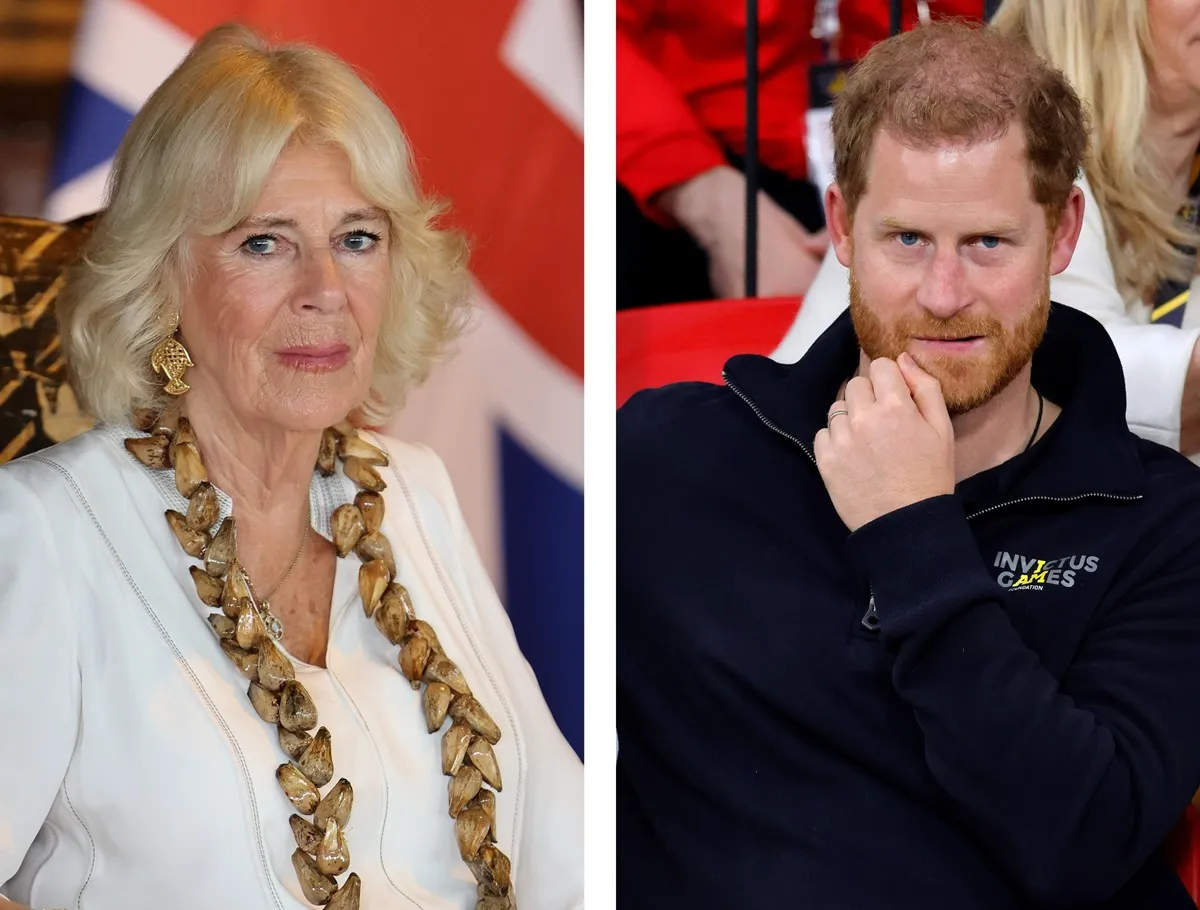 Queen Camilla ‘Dropped Everything in a Hurry' to Make Sure She Attended King Charles' Reunion With Prince Harry and Meghan