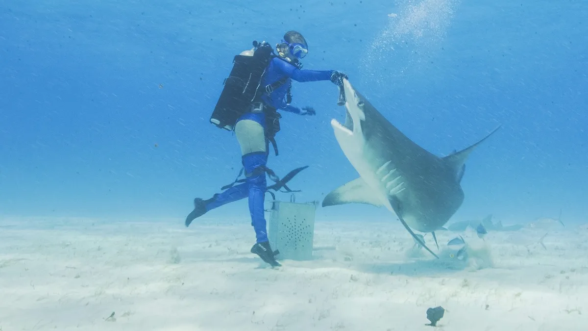 A person in scuba gear with a shark in an special from Shark Week 2025 on Discovery Channel