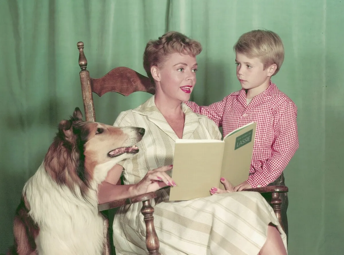 June Lockhart holding a book and sitting in between a collie and Jon Provost, as Timmy, in a promo shot for 'Lassie'