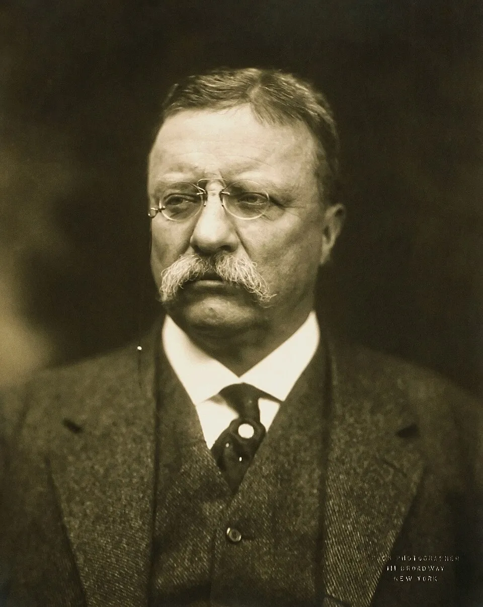 Theodore Roosevelt portrait 