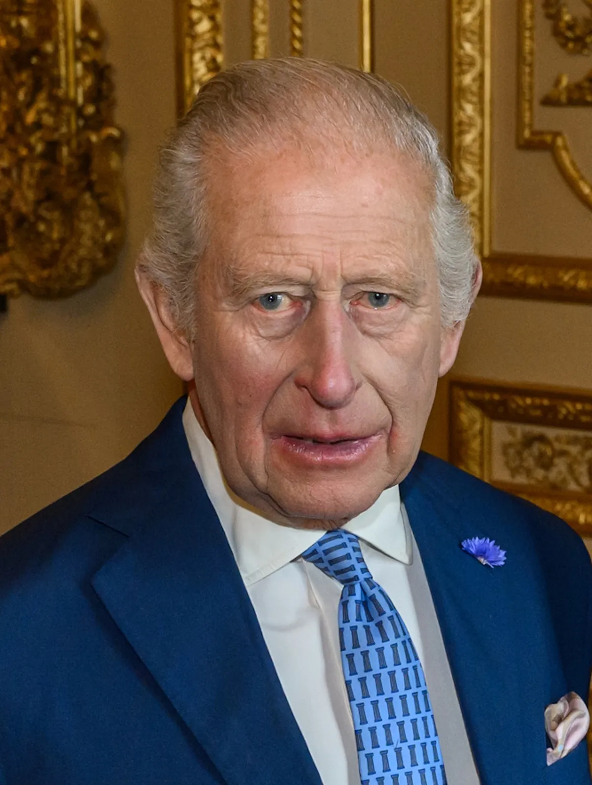 King Charles in a blue jacket and tie