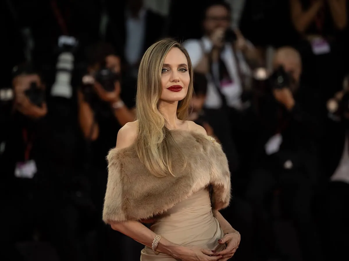 Angelina Jolie wears a brown dress with a fur top.