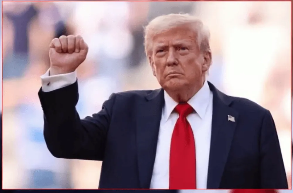 Screenshot of Donald Trump at World Cup match