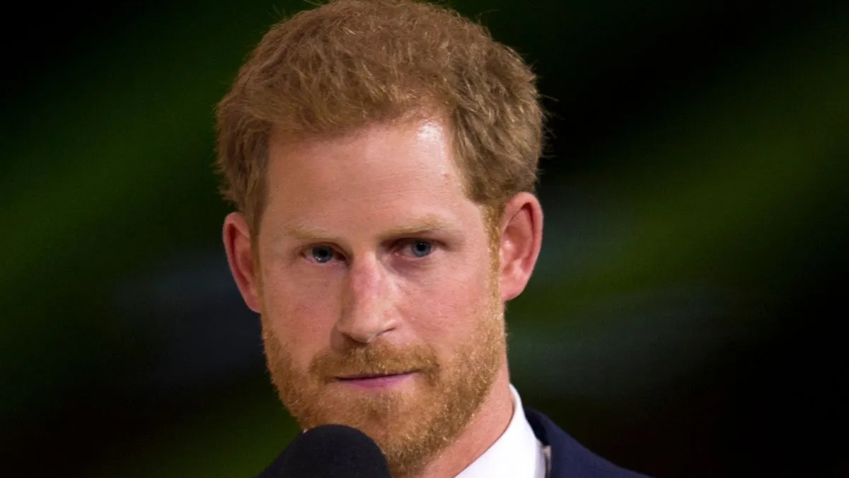 Prince Harry’s Diana project could feel like another betrayal to Prince William. (Image Credit: DoD News, Public domain, via Wikimedia Commons)
