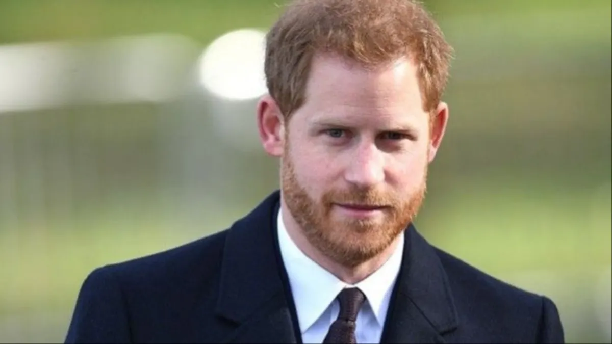 Prince Harry follows veteran’s fearless leap for charity. (Image Credit: Instagram/@eugenieagaravani)