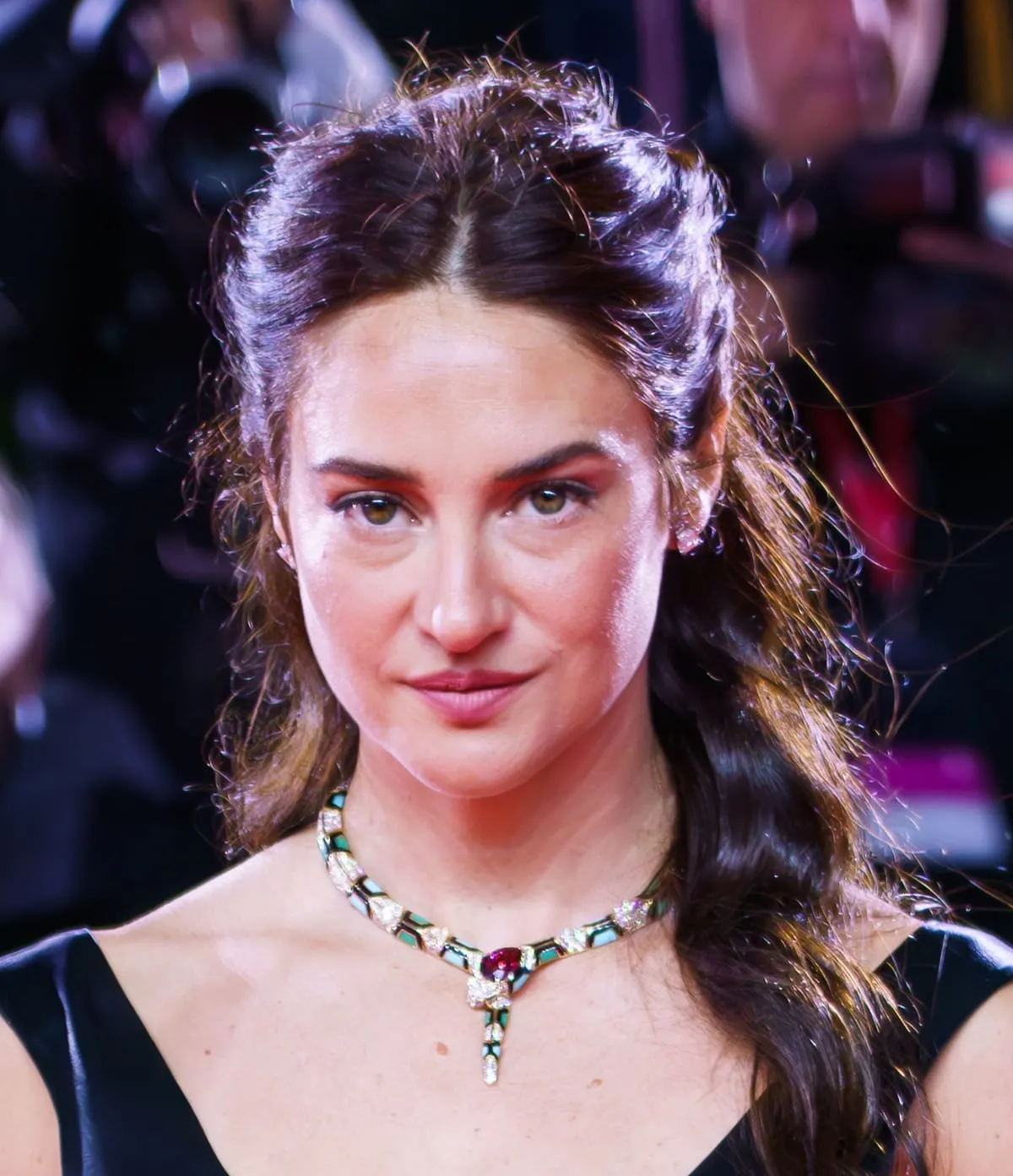Aaron Rodgers Says Shailene Woodley Is Really to Blame for Split