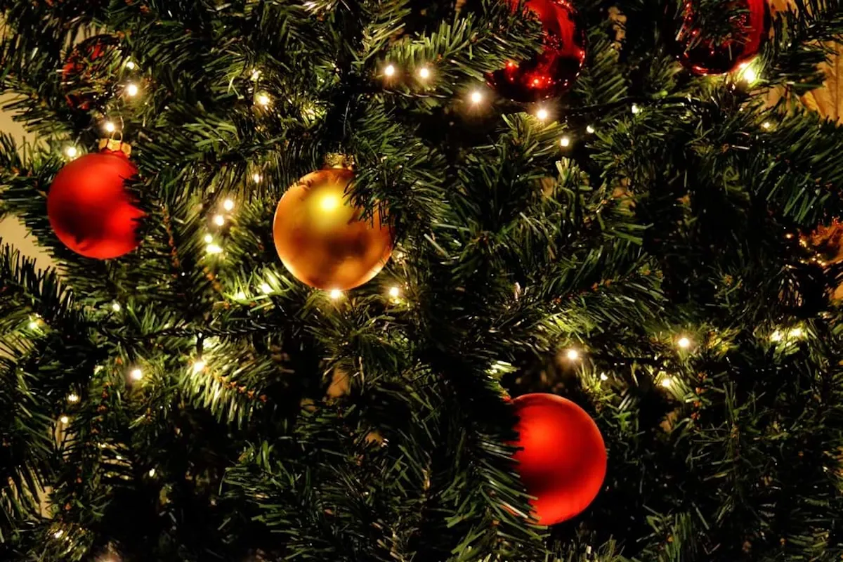 close up of Christmas ornaments on tree