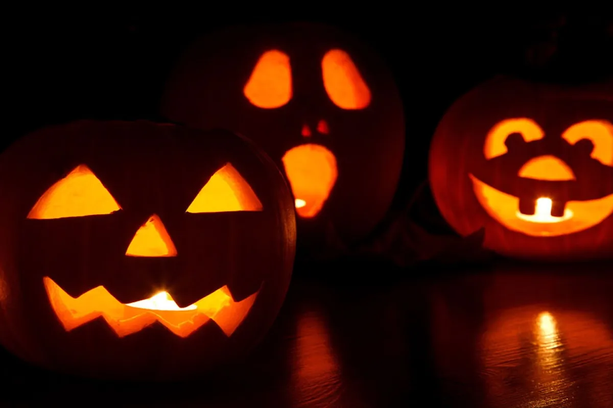 Three carve pumpkins lit up from within