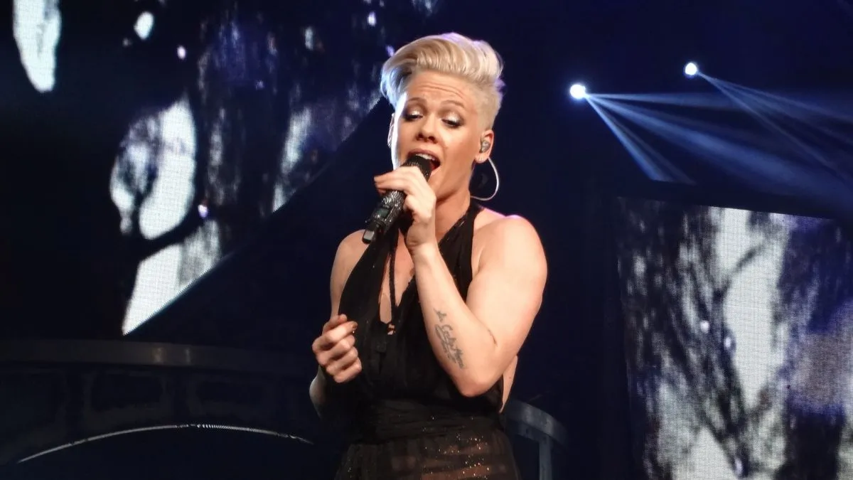 Pink claps back at her trolls. (Image Credit:Allison, CC BY-SA 2.0, via Wikimedia Commons)