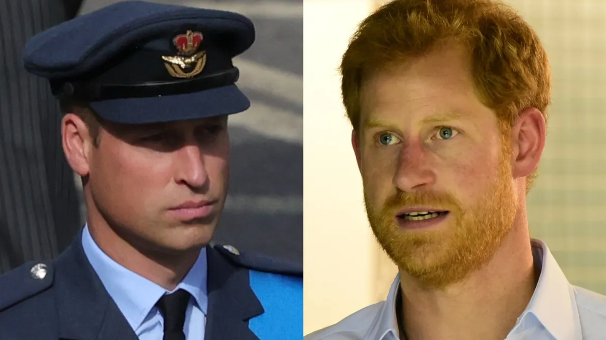 One condition could stand between Prince William and Prince Harry. (Image Credit: (L) UK Government, CC BY 2.0, via Wikimedia Commons, (R) Mykola Swarnyk, CC BY-SA 3.0, via Wikimedia Commons)
